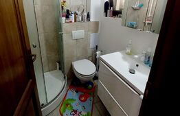 Casa mobilata si utilata, curte proprie, in cartierul Europa