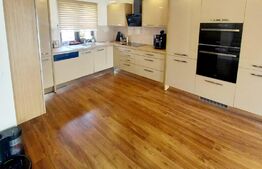 Casa mobilata si utilata, curte proprie, in cartierul Europa