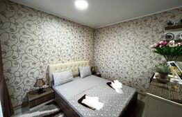 Apartament petfrinedly de 1 camera, 32 mp, zona Iosia