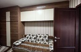 Apartament petfrinedly de 1 camera, 32 mp, zona Iosia