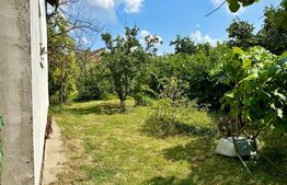 Casă în centru cu 4 cam. 148 mp utili și 750 mp teren cu vegetație