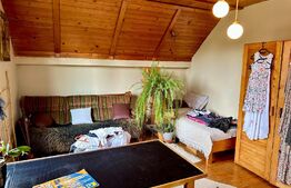 Casă în centru cu 4 cam. 148 mp utili și 750 mp teren cu vegetație