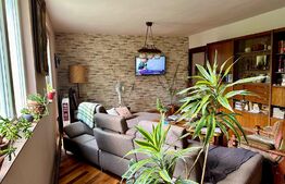 Casă în centru cu 4 cam. 148 mp utili și 750 mp teren cu vegetație