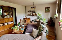 Casă în centru cu 4 cam. 148 mp utili și 750 mp teren cu vegetație