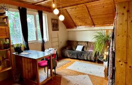 Casă în centru cu 4 cam. 148 mp utili și 750 mp teren cu vegetație