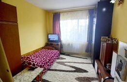 Apartament cu 1 camera, 22mp, zona Splaiul Crisanei