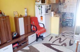 Apartament cu 1 camera, 22mp, zona Splaiul Crisanei