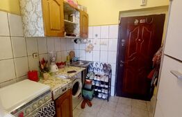 Apartament cu 1 camera, 22mp, zona Splaiul Crisanei