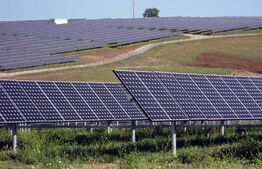 Teren parc FOTOVOLTAIC intravilan/extravilan, 93000mp, hala de 320 mp zona Nojorid - Teren parc fotovoltaic