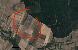 Teren parc FOTOVOLTAIC intravilan/extravilan, 93000mp, hala de 320 mp zona Nojorid - Teren parc fotovoltaic