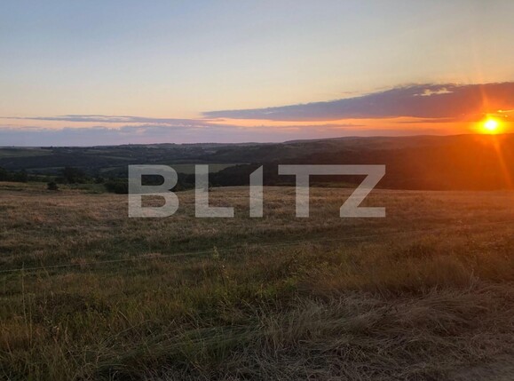 Casa de vânzare 3 camere Saldabagiu de Munte - 122757CV | BLITZ Oradea | Poza10