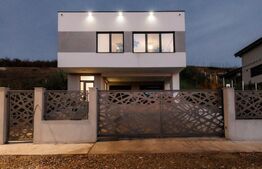 Vila langa Hanul Pescarilor