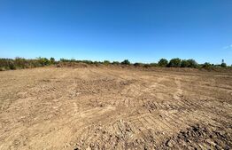 Teren în Sântandrei Centură zona DODO intravilan 10800 mp la Principală cu utlitati, potrivit pt HALE, SALĂ DE NUNȚI, SPAȚII COMERCIALE, DEPOZITE