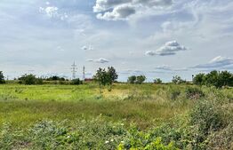 Teren în Sântandrei Centură zona DODO intravilan 10800 mp la Principală cu utlitati, potrivit pt HALE, SALĂ DE NUNȚI, SPAȚII COMERCIALE, DEPOZITE