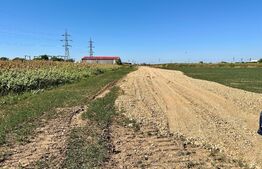 Teren în Sântandrei Centură zona DODO intravilan 10800 mp la Principală cu utlitati, potrivit pt HALE, SALĂ DE NUNȚI, SPAȚII COMERCIALE, DEPOZITE
