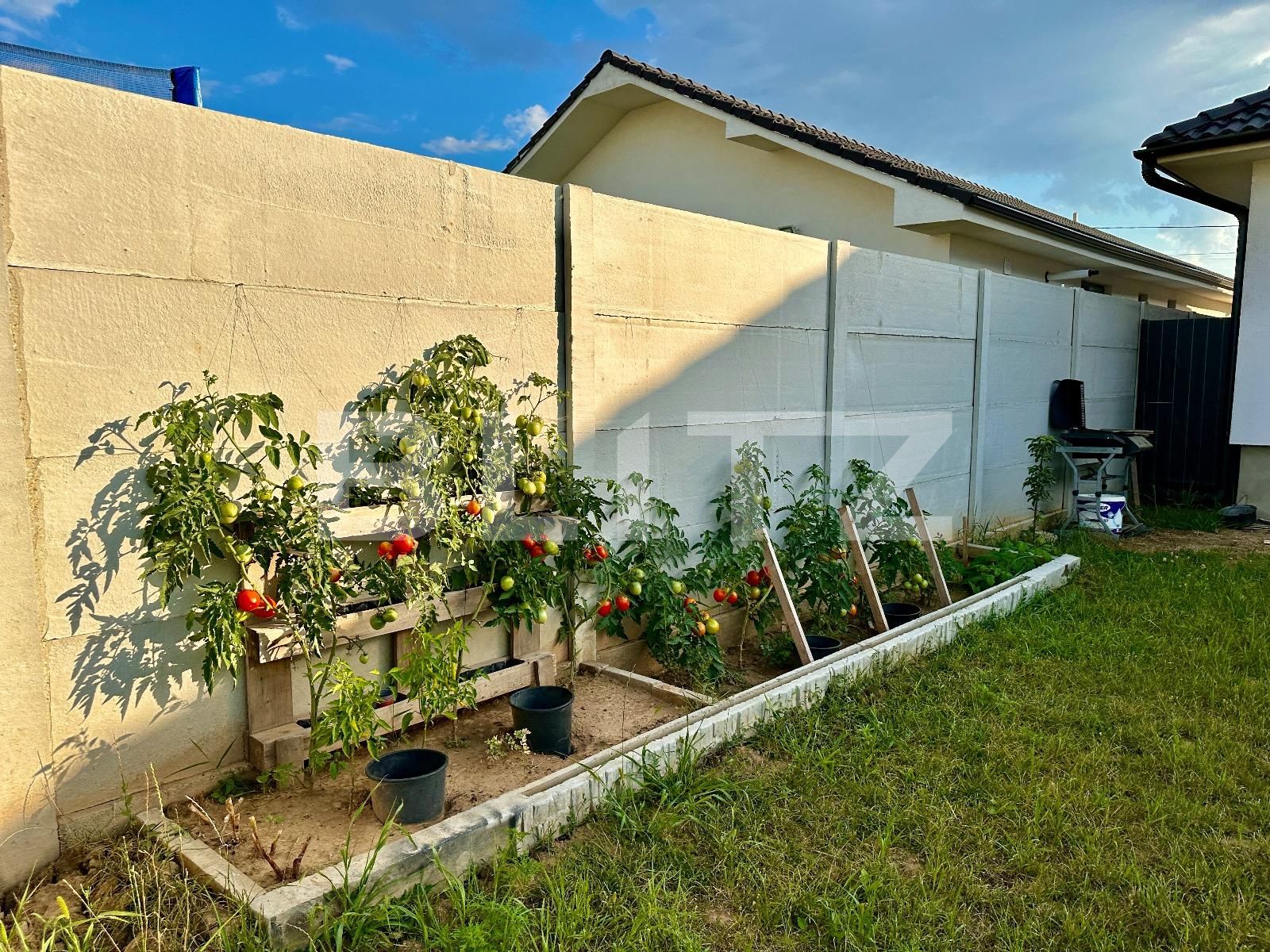 Casa de vânzare 4 camere Santandrei - 123109CV | BLITZ Oradea | Poza13