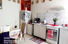 Casa familiala cu 3 apartamente de 2 si 3 camere la casa, total 216mp utili, 3 ap diferite, zona Sirul Canonicilor