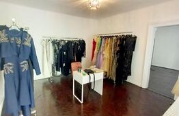 Casa familiala cu 3 apartamente de 2 si 3 camere la casa, total 216mp utili, 3 ap diferite, zona Sirul Canonicilor