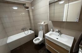 Apartament de 2 camere, 80 mp, terasa de 55 mp, Nufarul