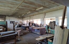 Fabrica de mobila zona Marghita. Hala 1200mp + 500mp depozit pe teren 5000mp