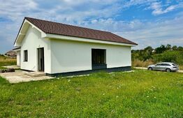 Casă 4 cam. în Cihei satul vechi cu apă, curent, gaz și canalizare pe stradă teren 540 mp