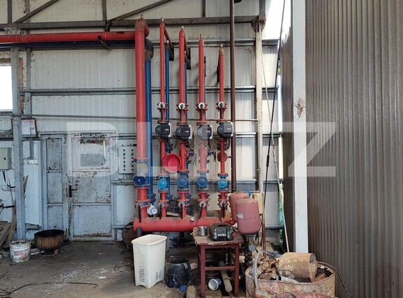 Spațiu industrial de închiriat Nord-Vest - 123899SII | BLITZ Oradea | Poza8