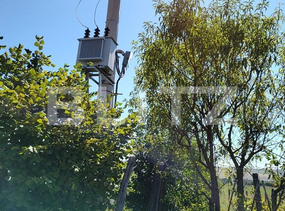 Spațiu industrial de închiriat Nord-Vest - 123899SII | BLITZ Oradea | Poza3