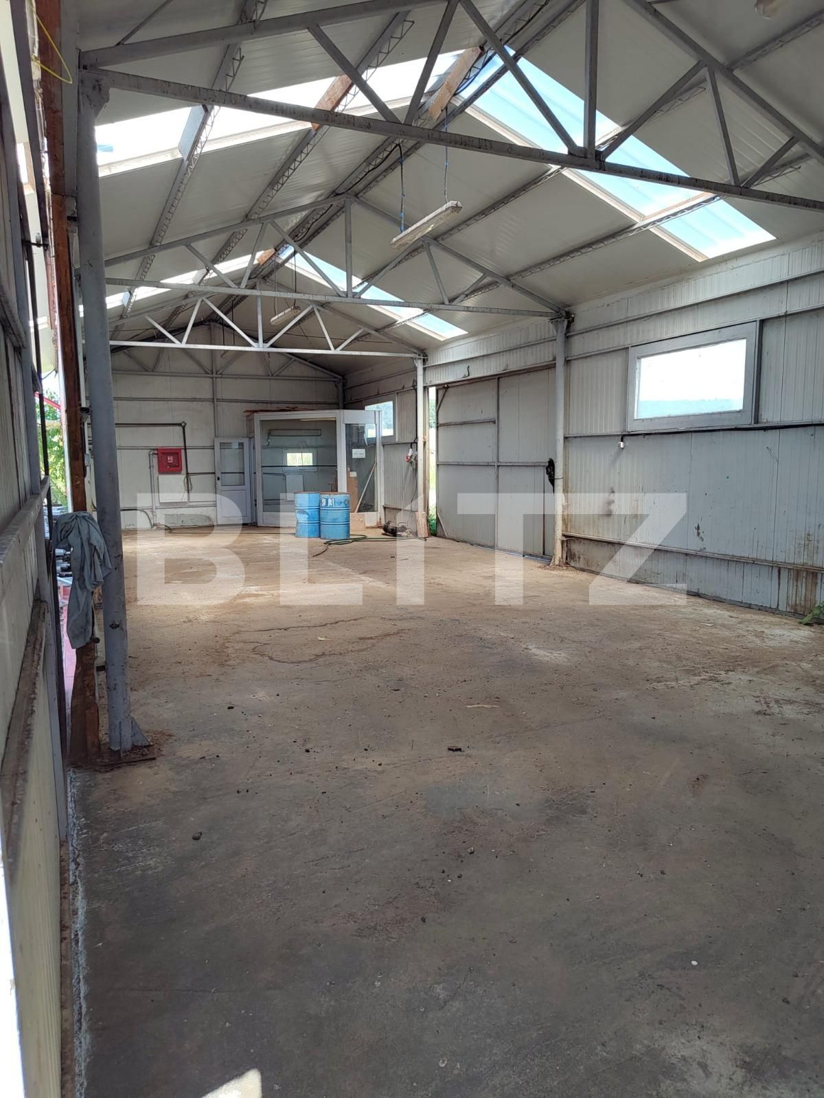 Spațiu industrial de închiriat Nord-Vest - 123899SII | BLITZ Oradea | Poza4