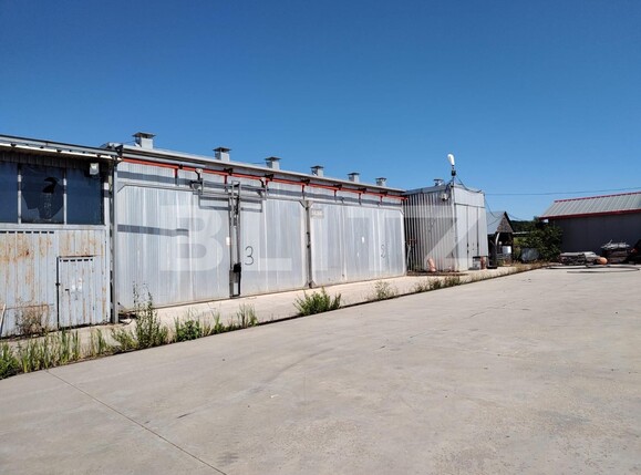 Spațiu industrial de vânzare Nord-Est - 123909SVI | BLITZ Oradea | Poza5