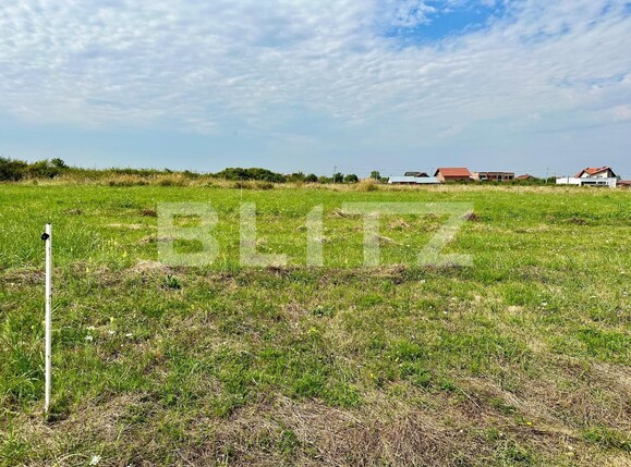 Teren de vânzare Cihei - 123991TV | BLITZ Oradea | Poza8