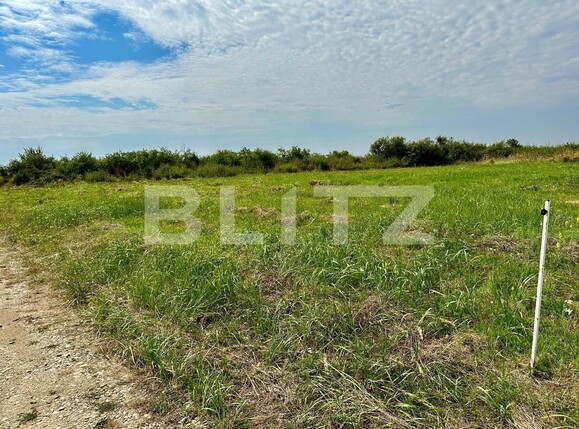 Teren de vânzare Cihei - 123991TV | BLITZ Oradea | Poza7