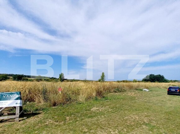 Teren de vânzare Paleu - 124576TV | BLITZ Oradea | Poza2