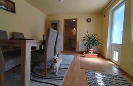 Casa de vanzare langa Parcul Taranilor