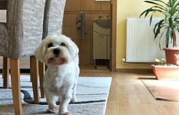 Casa de vanzare langa Parcul Taranilor