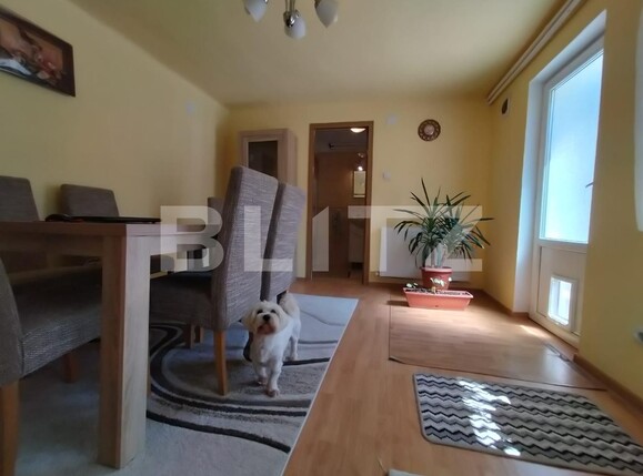 Casa de vânzare 5 camere Cantemir - 124589CV | BLITZ Oradea | Poza5