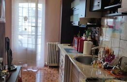 Apartament 3 camere, 67 mp, cartier Orasul Nou