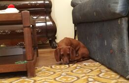 Apartament la curte comuna!Front stradal!Ideal pentru cabinete!Ultracentral