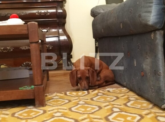 Apartament de vânzare 3 camere Ultracentral - 125167AV | BLITZ Oradea | Poza5