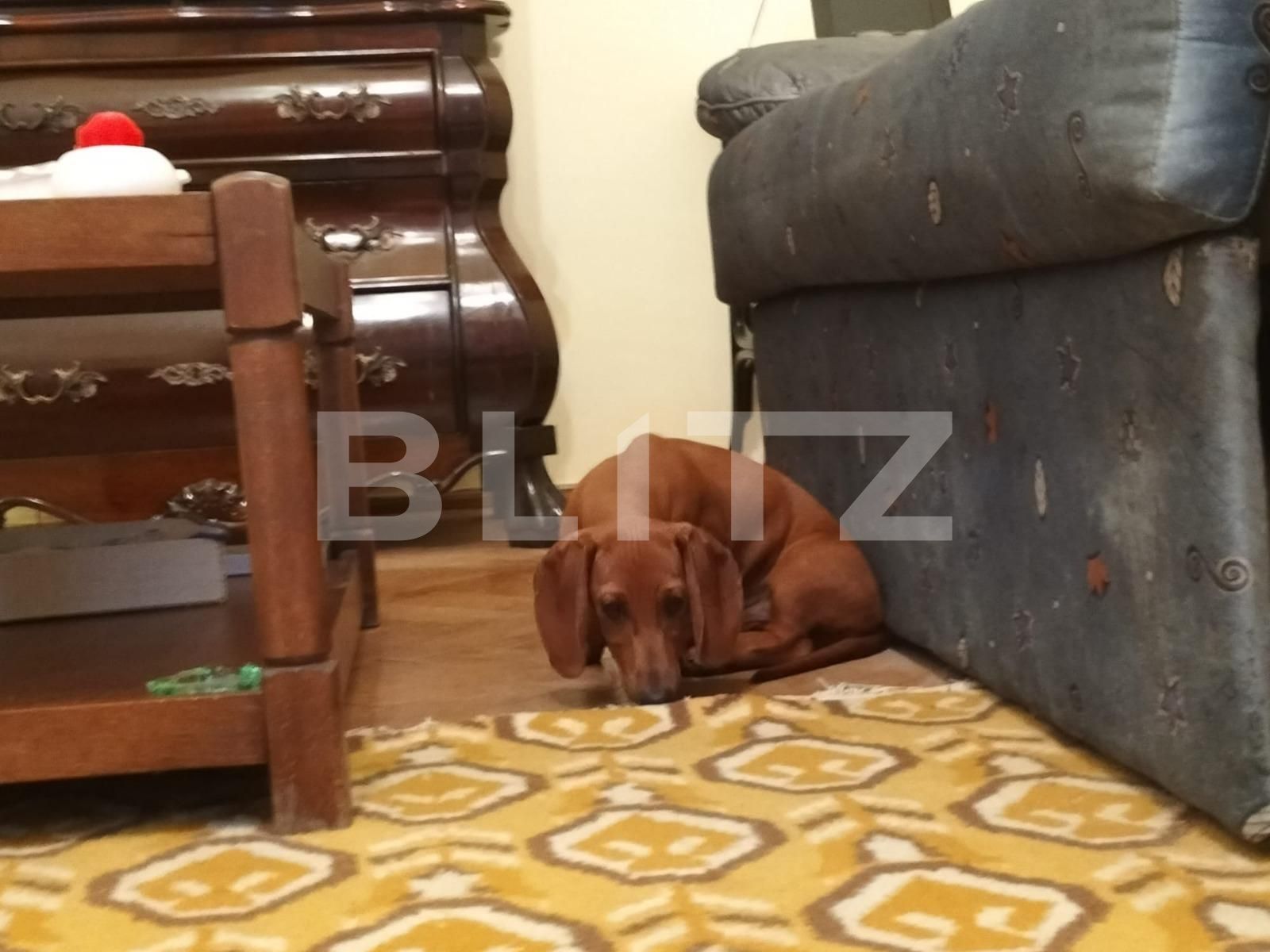 Apartament de vânzare 3 camere Ultracentral - 125167AV | BLITZ Oradea | Poza5