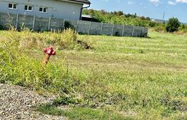 Teren extravilan in Oncea de 4500 mp
