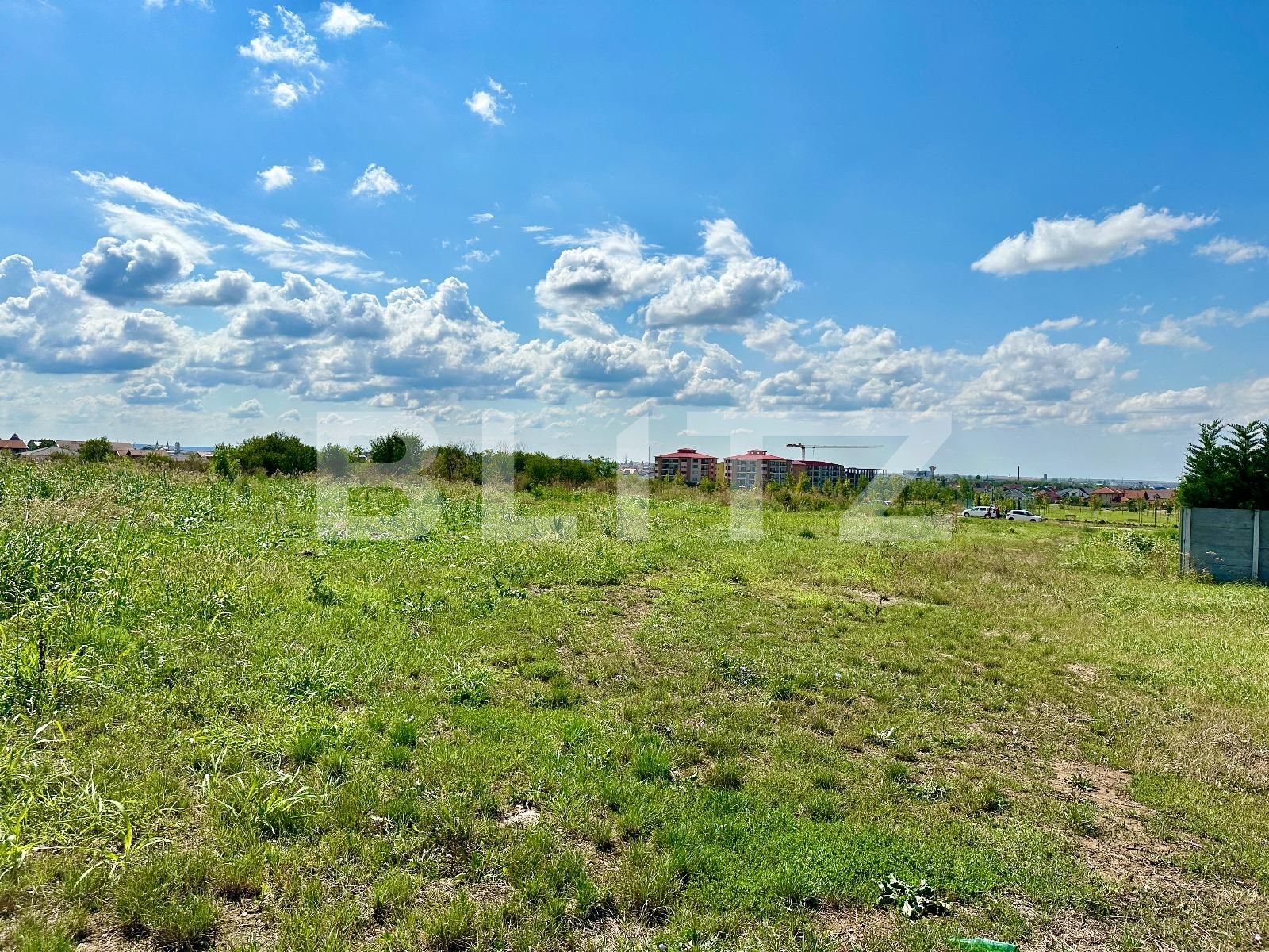 Teren de vânzare Oncea - 125731TV | BLITZ Oradea | Poza5