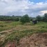 Teren de vânzare Dealuri Oradea - 125854TV - Poza 1 din 3 | BLITZ Oradea | Poza1