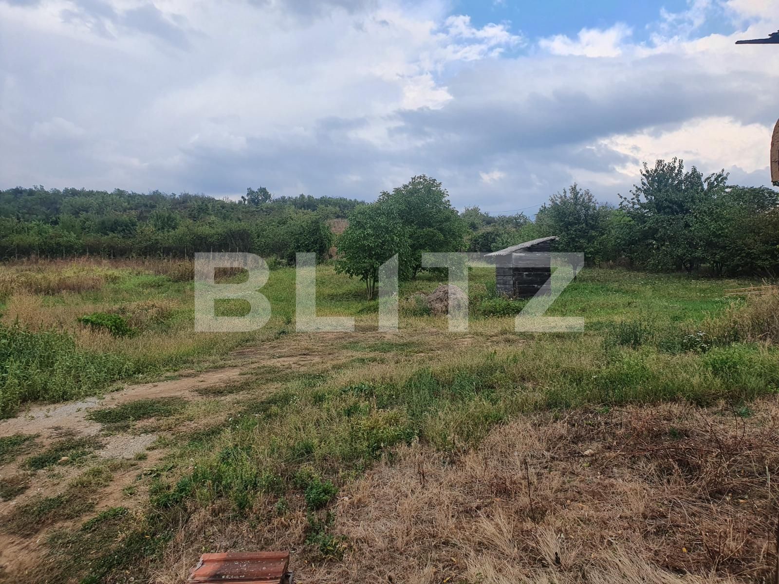 Teren de vânzare Dealuri Oradea - 125854TV | BLITZ Oradea | Poza2