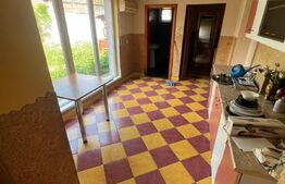 Casa cu 3 camere, 110mp utili, 340mp teren, zona Cantemir