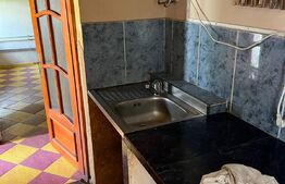 Casa cu 3 camere, 110mp utili, 340mp teren, zona Cantemir