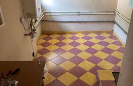 Casa cu 3 camere, 110mp utili, 340mp teren, zona Cantemir