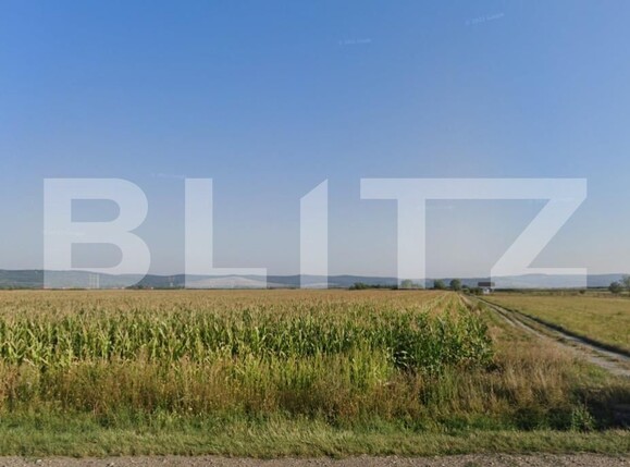 Teren de vânzare Osorhei - 126230TV | BLITZ Oradea | Poza1
