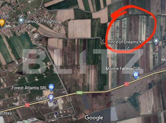Teren de vânzare Osorhei - 126230TV | BLITZ Oradea | Poza2