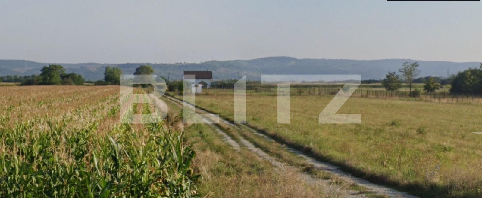 Teren de vânzare Osorhei - 126230TV | BLITZ Oradea | Poza3