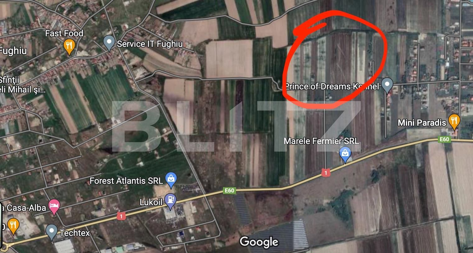 Teren de vânzare Osorhei - 126230TV | BLITZ Oradea | Poza2